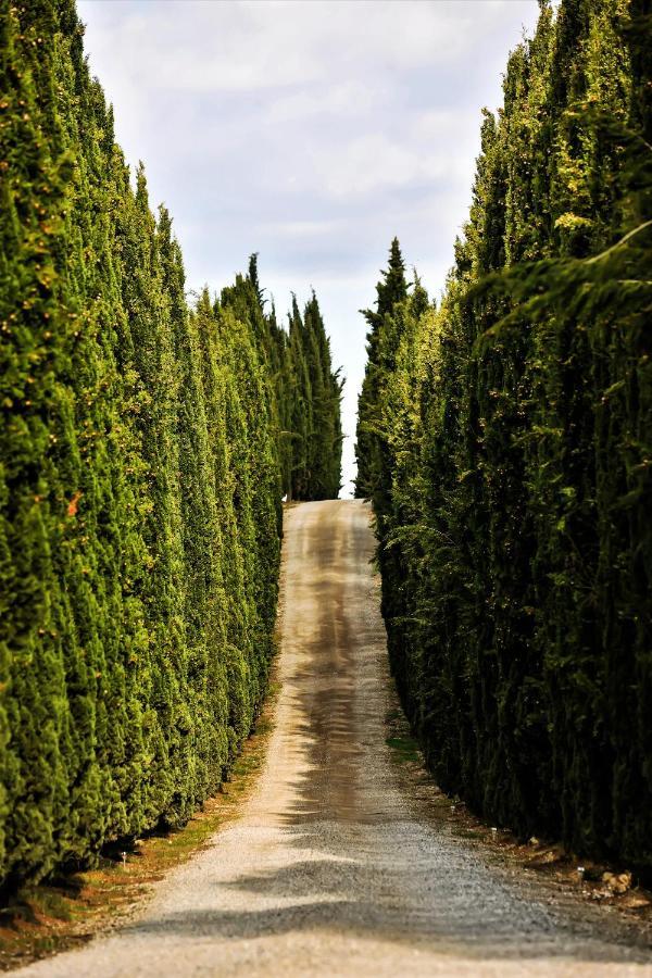 Casalchino-fattoria La Torre