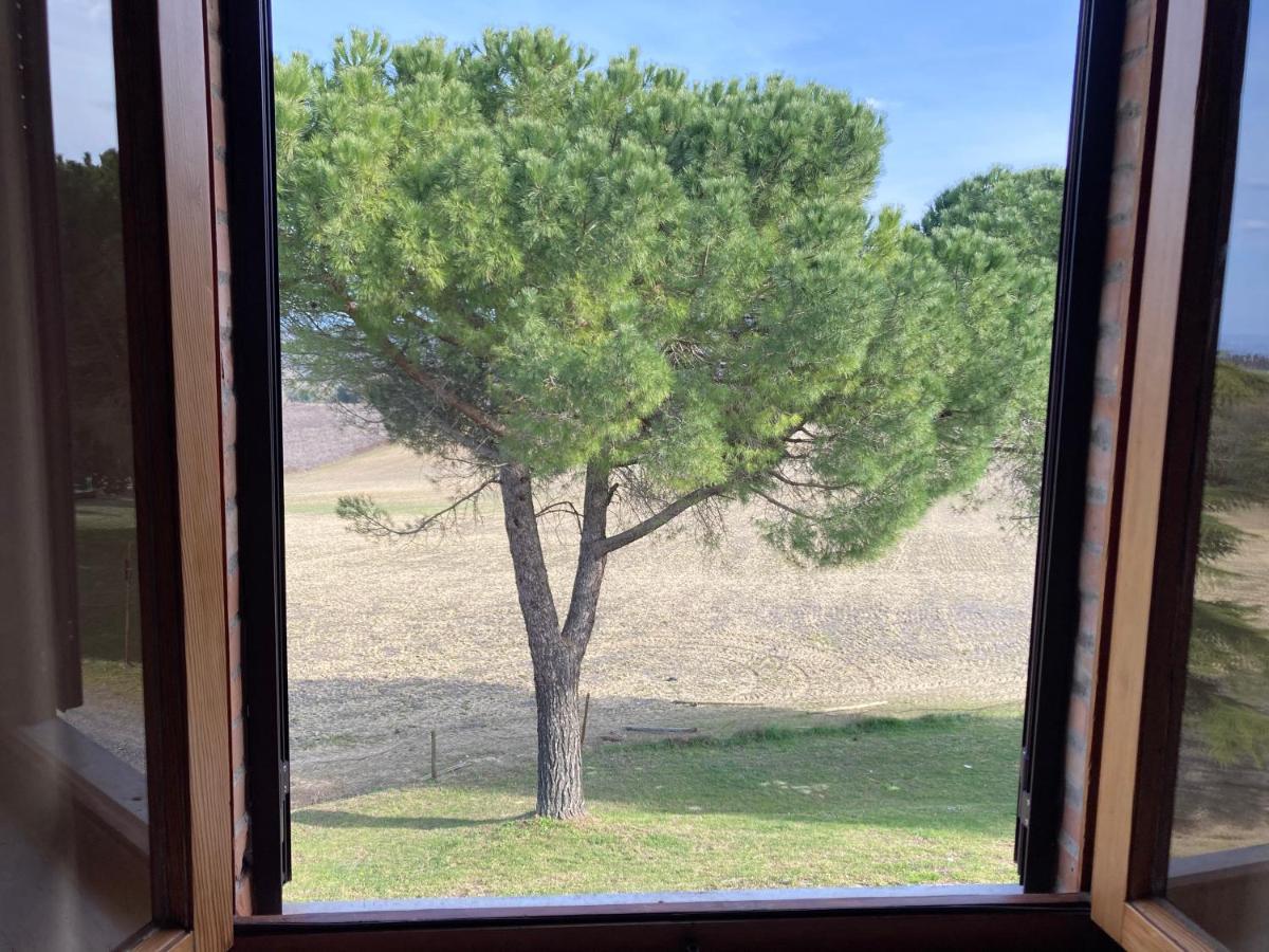Casalchino-fattoria La Torre Farm stay