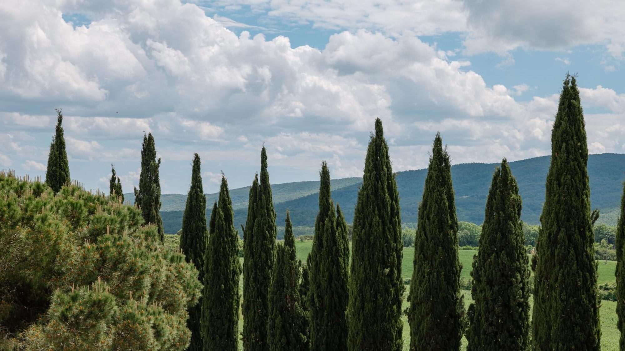 Casalchino-fattoria La Torre San Gimignano